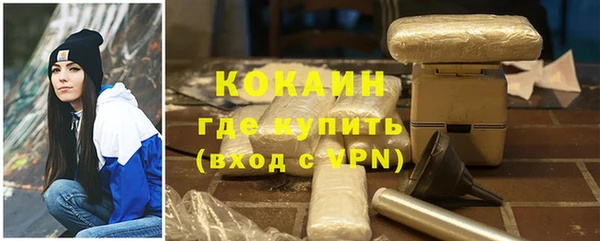 шишки Арсеньев