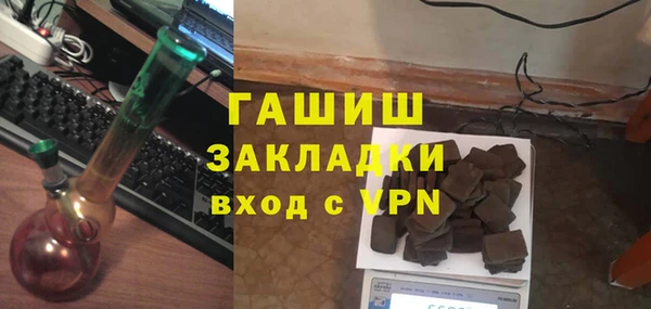 шишки Арсеньев