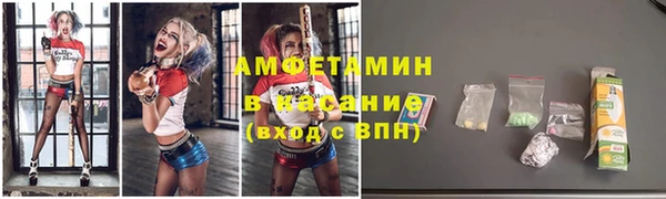 шишки Арсеньев