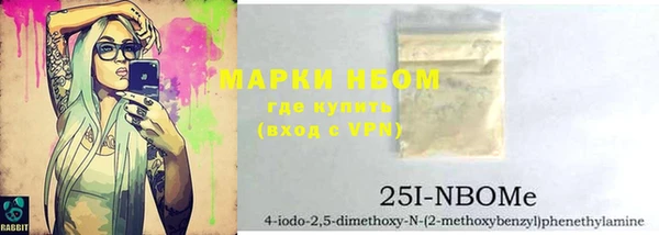 шишки Арсеньев