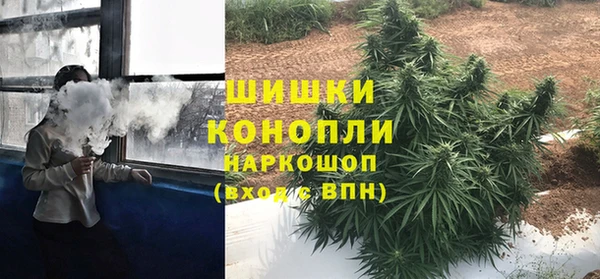 шишки Арсеньев