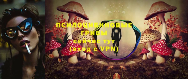 спиды Аркадак