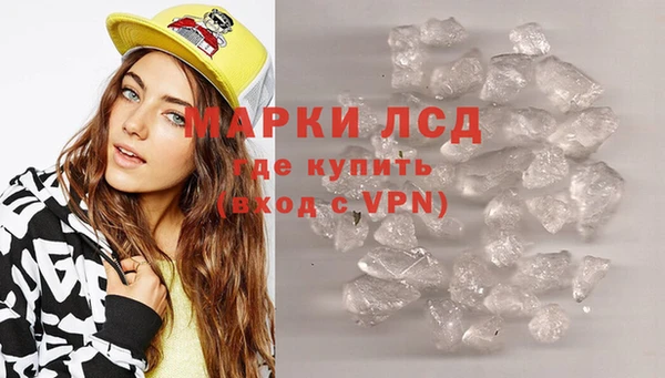 спиды Аркадак