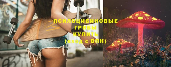 шишки Арсеньев