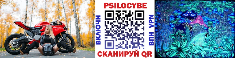 купить наркотики сайты  Ряжск  Галлюциногенные грибы GOLDEN TEACHER 
